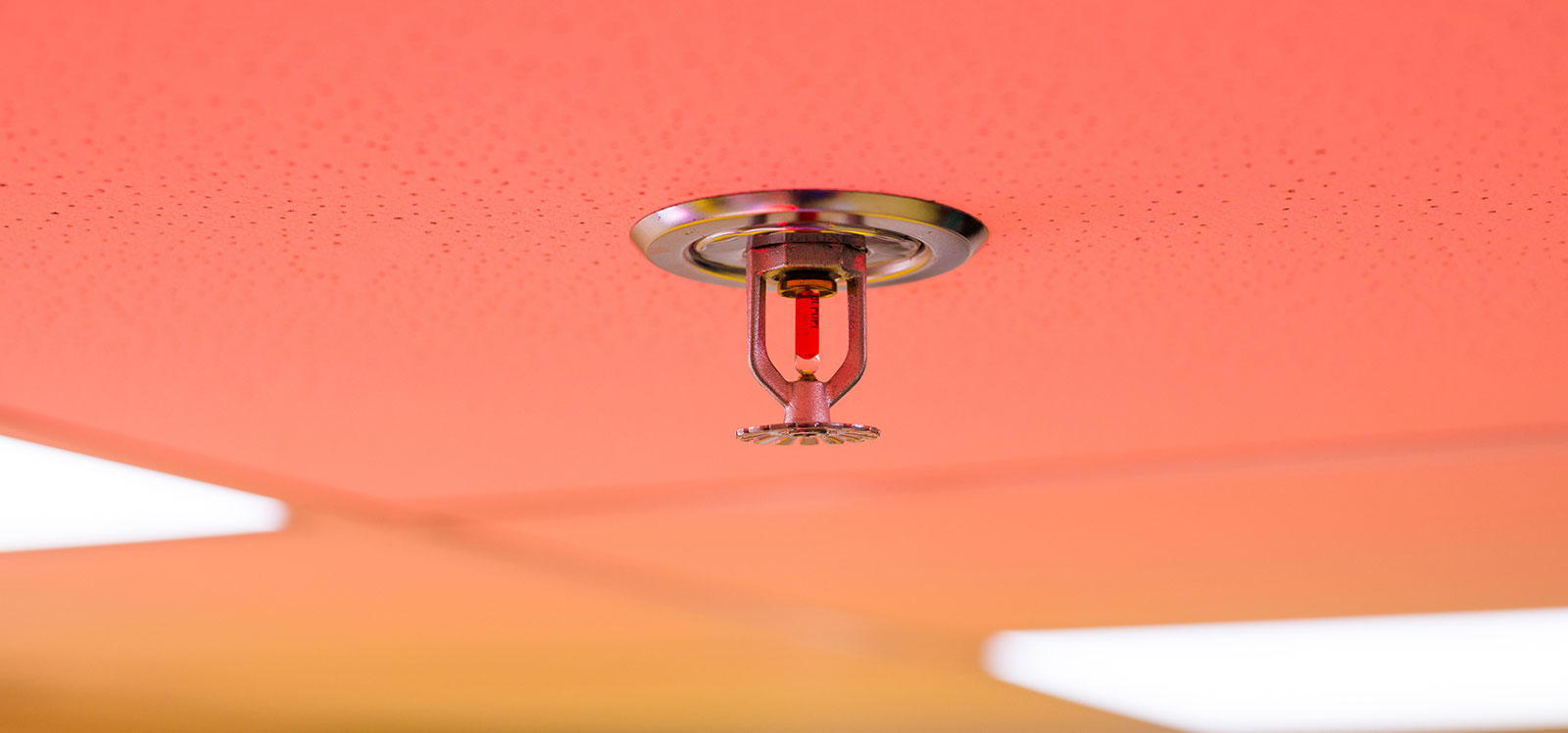 fire sprinkler system