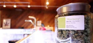 Dispensary insurance cost image of a jar of legal cannabis on PSA Insurance & Financial Services' website