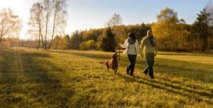 Image of two people walking in a field with a dog on PSA Insurance & Financial Services' website