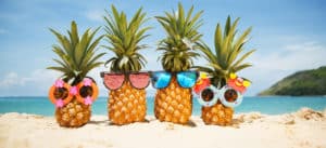 Image of pineapples with sunglasses on PSA Financial's website