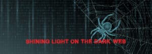 Spider on a web graphic on PSA Financial's website