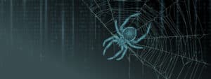 Spider on a web graphic on PSA Financial's website