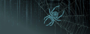 Spider on a web graphic on PSA Financial's website