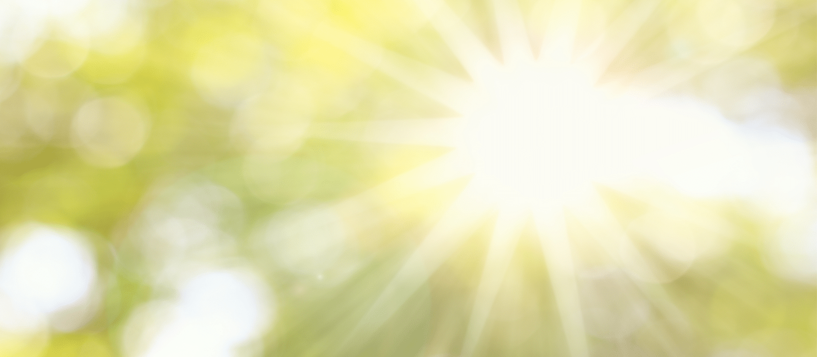 Image of sun coming through branches on PSA Financial's website