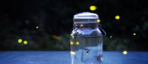 Image of lightning bugs in a jar on PSA Financial's website