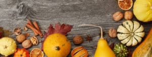 Image of pumpkins and gourds on PSA Financial's website