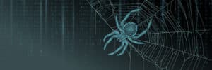 Image of a spider on a web on PSA Insurance & Financial Services' website